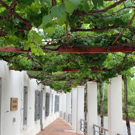 Port Wine Guesthouse Calitzdorp Extérieur photo
