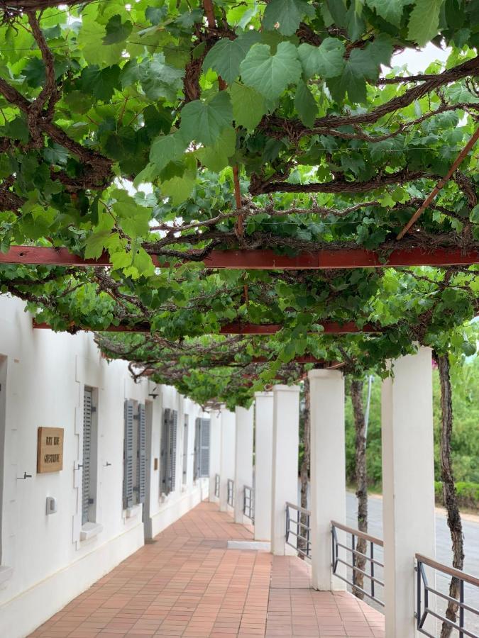 Port Wine Guesthouse Calitzdorp Extérieur photo